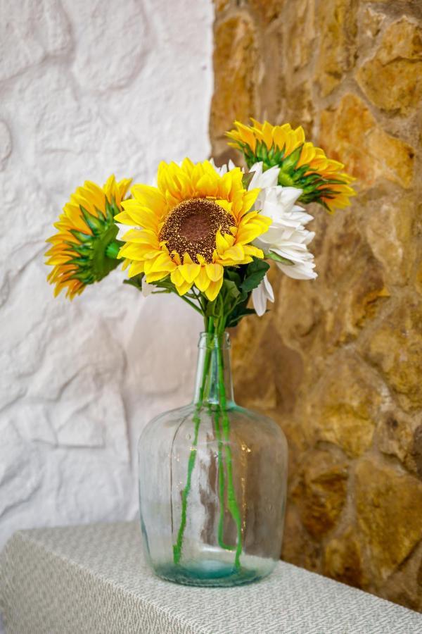 Galeria Guesthouse Tavira Zewnętrze zdjęcie